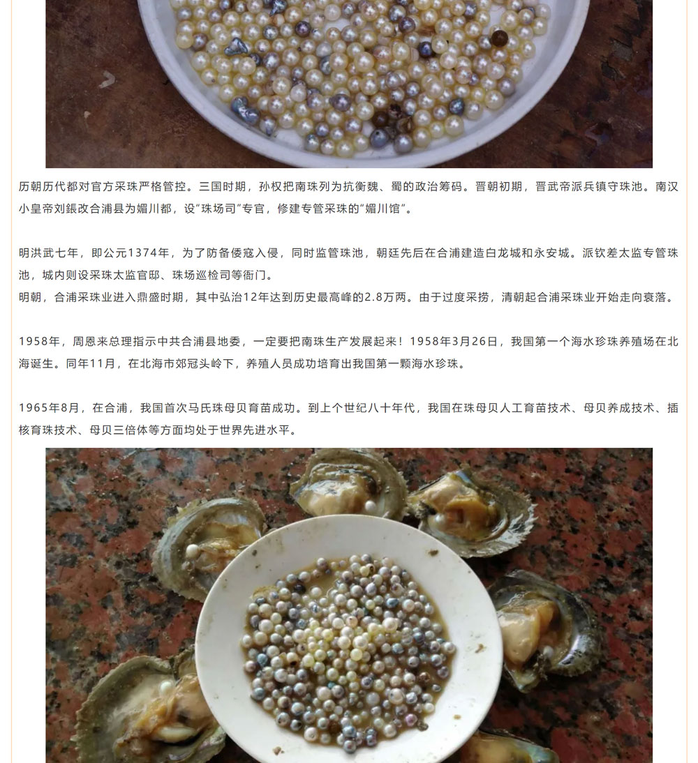 古老南珠，綻放異彩