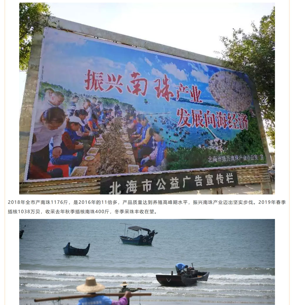 古老南珠，綻放異彩